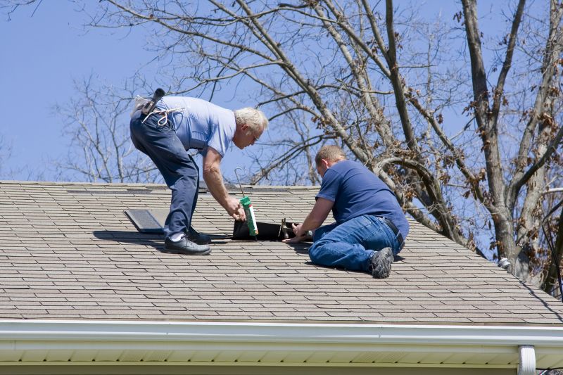Professional Roof Repair