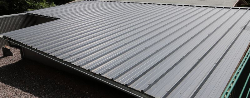 Metal Roof Service